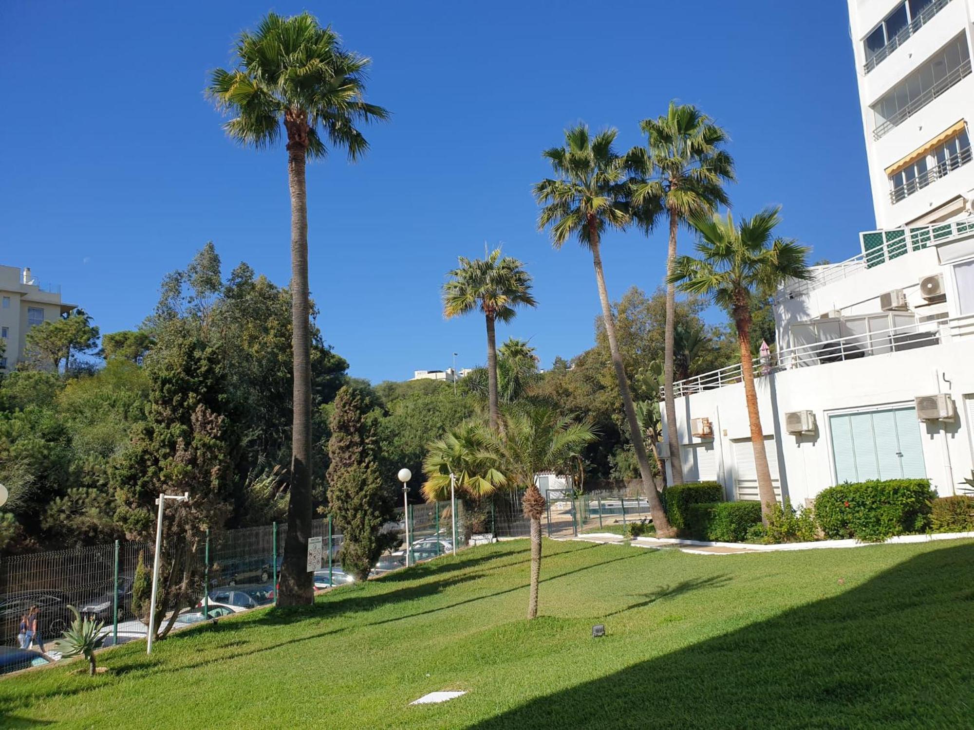 Estudio Con Increibles Vistas. Marbella Eksteriør bilde